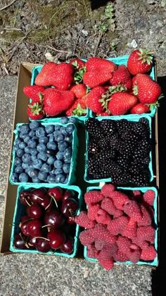 several trays of berries, strawberries and blueberries are sitting on the ground