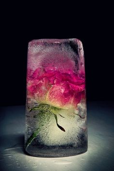 a glass vase filled with pink flowers on top of a gray countertop next to a black background