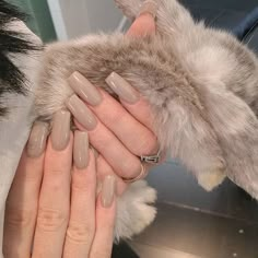 ⋆❈ - @DannieC123 - ❈⋆ Taupe Nails, Gel Nails Long, Long Square Nails, Nailed It, Best Acrylic Nails, Kourtney Kardashian, Square Nails, Long Acrylic Nails