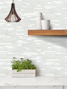 a kitchen counter with a potted plant on it and a light fixture hanging above