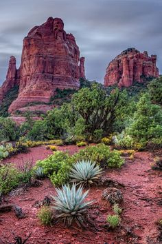 the mountains are covered with red rocks and green plants in the foreground, under a cloudy sky