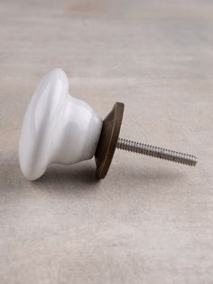 a screw is laying on the ground next to a white button with a wooden base