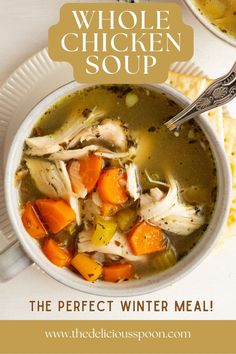 a bowl of chicken soup with carrots and celery