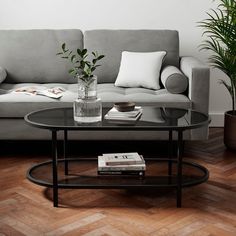 a living room with a couch, coffee table and potted plant on the floor