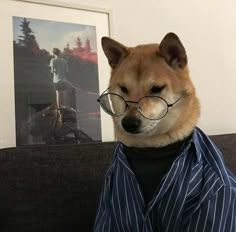 a dog wearing glasses sitting on top of a couch next to a framed photo in the background