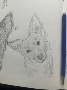 a pencil drawing of a dog and a cat