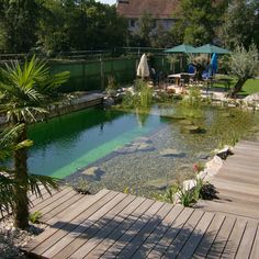 a small pond in the middle of a wooden decked area with chairs and umbrellas