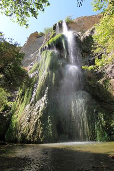 a large waterfall in the middle of a forest