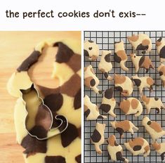 two pictures one with cookies and the other with dog biscuits