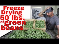 a man standing in front of boxes full of green beans with the words freeze drying 50lbs of green beans