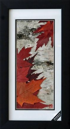 an image of autumn leaves on the bark of a birch tree framed in black frame