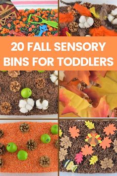 20 fall sensory bins for toddlers to play with and learn how to make them