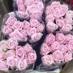 pink roses are arranged in baskets on display