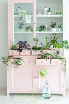 a pink china cabinet filled with plants and potted plants on top of it's shelves