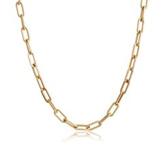 A stylish paperclip style chain can be the perfect stand alone necklace, or add a hint of warmth to a layered look. The gently squared tube of each oval link adds a sparkling edge to this chain's design. Paperclip Chain Necklace, Gold Collection, Layered Look, Paper Clip, Store Fronts, Chains Necklace, Jewelry Shop, Chain Necklace, Gold Necklace