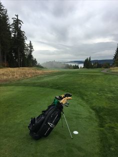 a golf bag sitting on top of a green field