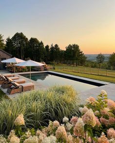 an outdoor swimming pool with lounge chairs and flowers in the foreground at sunset or dawn