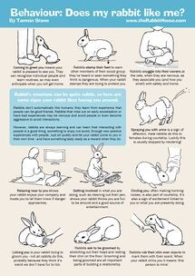 a poster with instructions on how to use rabbits in the house and around the house