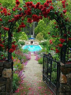 a garden with red flowers and a pool in the background that says click here on it