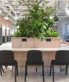 an office with plants in the middle of it and black chairs on either side of the table