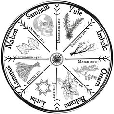 the wheel of fifths with various herbs and leaves on it, in black and white