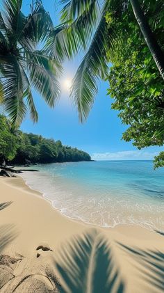 the sun shines brightly through palm trees on a tropical beach with clear blue water