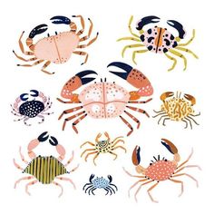 colorful crabs are arranged in the shape of a circle