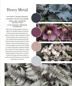 brochure showing different types of leaves and flowers