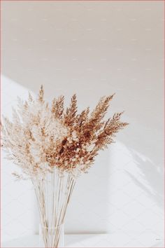 a vase filled with lots of dry grass on top of a white table next to a wall