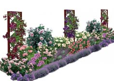 a garden with many different types of flowers and plants growing in the same planter