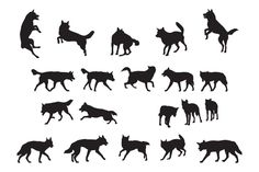 silhouettes of dogs and puppies in various poses on a white background stock photo