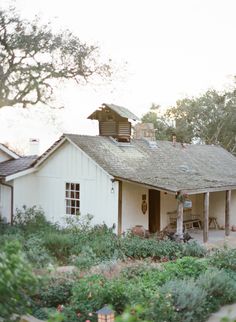 an old white house surrounded by greenery and trees