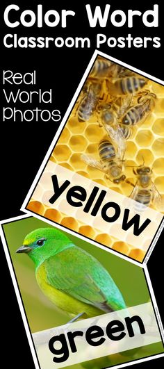 the color word classroom posters with pictures of bees and honeycombs are shown here