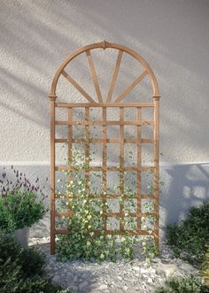 a wooden trellis with vines growing on it in front of a white stucco wall