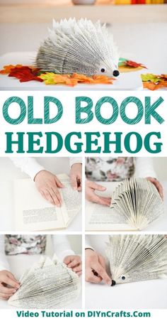 how to make an old book hedgehog out of paper