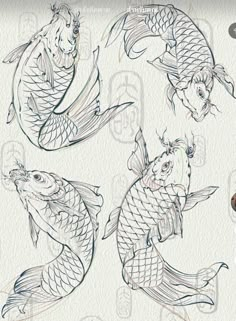 some drawings of fish in different poses on a white paper with the words, koi