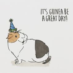 a guinea pig with a party hat on it's head and the words, it's guinea be a great day