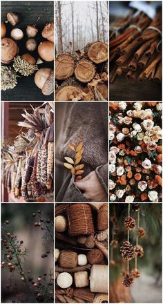 the collage shows different types of pine cones and other things that are being used to decorate