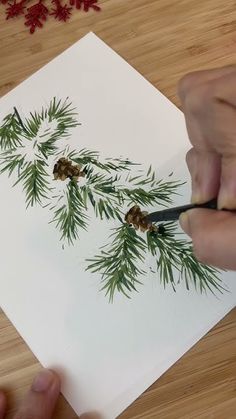 someone using scissors to cut out pine cones on a piece of paper with evergreen needles