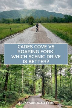 a person riding a bike down a dirt road in the middle of a lush green forest