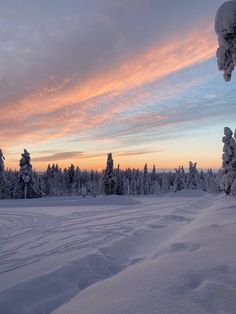 the sun is setting over some snow covered trees