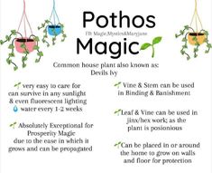 an advertisement for pothos magic with instructions on how to use it