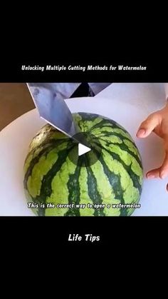 someone cutting up a watermelon on top of a white plate with a knife