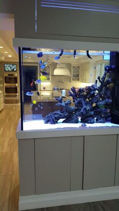 a fish tank filled with lots of blue and yellow items on top of a counter