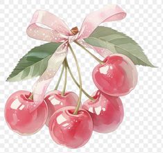 some pink cherries with green leaves and a bow on top of them, against a white background