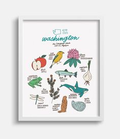 an illustrated poster with the words washington and other things to see on it's back