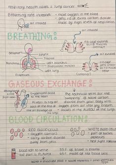 a piece of paper with writing on it that says breathing, gaseous exchange and blood circulations