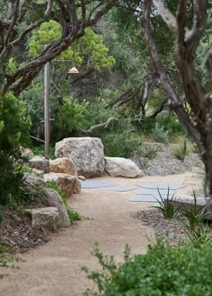 a stone path in the middle of some trees