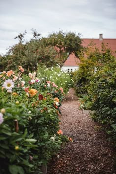 a garden filled with lots of flowers next to a house