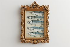 there is a framed photo with fish in it